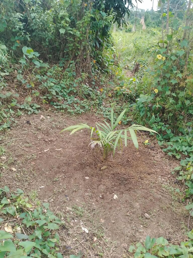 581338643_805718478943403_5719073970231745065_n